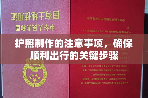 巴东护照制作的注意事项，确保顺利出行的关键步骤