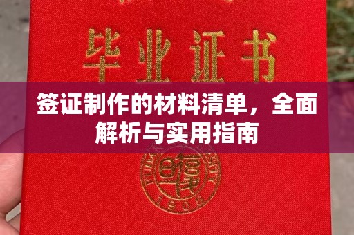 巴东签证制作的材料清单，全面解析与实用指南