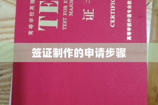 巴东签证制作的申请步骤