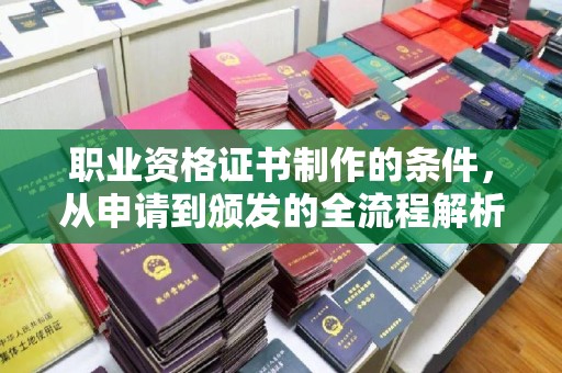 巴东职业资格证书制作的条件，从申请到颁发的全流程解析