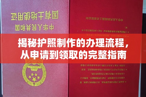 巴东揭秘护照制作的办理流程，从申请到领取的完整指南