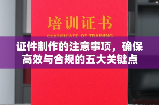 巴东证件制作的注意事项，确保高效与合规的五大关键点