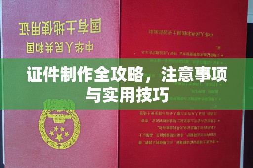 巴东证件制作全攻略，注意事项与实用技巧