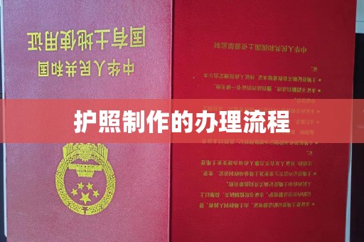 巴东护照制作的办理流程